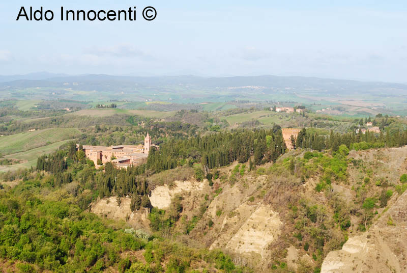 CHIUSURE: ABBAZIA DI MONTE OLIVETO MAGGIORE DAL PAESE 3' IMMAGINE